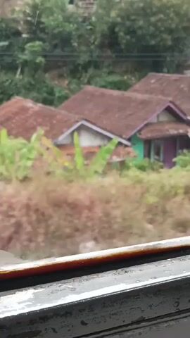 This video shows a view from a window looking out at a landscape. In the foreground, there is a dark, metallic frame with a reddish-brown strip along the top. Beyond the frame, the scene is somewhat out of focus, suggesting movement. The background features a hillside with several houses visible, their roofs are tiled and reddish-brown. Lush green vegetation, including trees and what appear to be banana plants, covers the hillside. The overall impression is that of a rural or suburban area, possibly in a tropical region, viewed during overcast or rainy weather, as indicated by the slightly muted colors and the appearance of water on the window frame. There are no people or specific actions depicted.