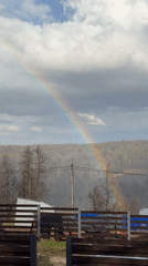 Rainbow, grilling, cats captured in rural Pavlovka spring day