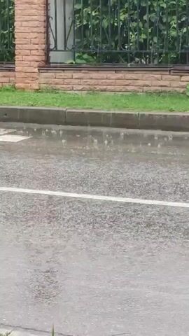 The video shows a roadside scene during rainfall. A brick fence with black metal railings and green foliage forms the background. In front of the fence, there is a patch of grass. A grey asphalt road with a white line is visible in the foreground, with puddles indicating the rain. A concrete curb separates the road from a sidewalk. Further down the road, a bus stop shelter with a green metal frame, blue roof, and wooden benches is depicted. The shelter is also getting wet from the rain, with visible streaks of water falling. The overall environment appears to be outdoors in a somewhat suburban or rural setting, with trees visible behind the bus stop.