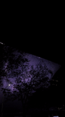 Late-night scenes documented around illuminated Soumaya Museum in Mexico City