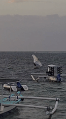 Sunset at a Bali beach — boats, wing foiling, and local life