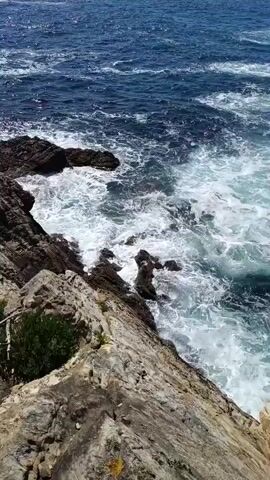 This is a vertical, high-angle shot of a rocky coastline with the ocean. The water is a deep blue with white foam from waves crashing against the rocks. The rocks are jagged and appear to be made of light-colored stone with some darker patches. There are some sparse green plants growing on the rocks in the foreground. The sun is shining brightly, creating reflections on the water. The video is only a few seconds long and shows the waves moving and the water churning. There are no people or animals visible.