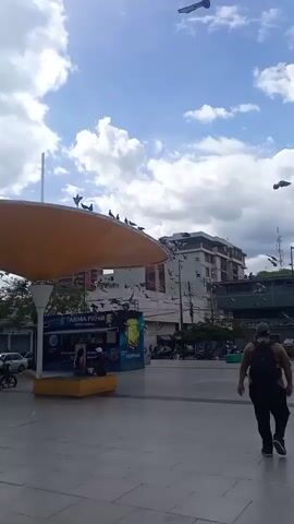 The video captures an outdoor urban scene with a large, curved canopy structure dominating the foreground. Several pigeons are perched on the edge of the canopy and in flight around it. The canopy is supported by a white pillar. In the background, there are buildings, including a multi-story structure with windows and advertising signs. Cars and motorcycles are visible on a street behind a metal railing. A few people are scattered in the area, some sitting on benches. The sky is bright blue with scattered white clouds. The video pans and zooms slightly, focusing on the canopy and the birds.