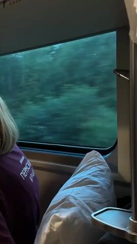 The video shows the interior of a train compartment. In the foreground, a person with blonde hair is seated, wearing a purple sweatshirt with text on the back. A white pillow is placed next to them. The main focus is the window, through which a blur of green trees and foliage is visible, indicating the train is in motion. A small metal tray table is also present. The lighting suggests it is either dusk or overcast.