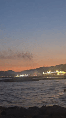 Málaga waterfront lit up at night, hills in the distance