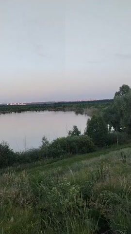 This media file captures a serene natural landscape, likely during the late evening or early morning given the soft, pastel hues of the sky. The scene features a calm body of water, possibly a lake or a wide river, reflecting the pale sky. Dense greenery, including trees and tall grass, borders the water's edge and extends into the foreground, creating a lush and somewhat wild setting.

In the distance, a faint silhouette of a settlement or urban area can be observed along the horizon, marked by subtle lights or structures. This contrast between the natural environment and distant human activity adds a layer of depth to the scene. The weather appears clear and tranquil, with a soft, diffused light indicating either dawn or dusk.

The overall mood conveyed is one of peace and quietude. There are no people or distinct objects in the foreground, emphasizing the natural beauty of the location. The camera appears to be moving slowly, suggesting a casual recording or perhaps a view from a moving vehicle, as the perspective shifts slightly throughout the short clip. The timestamp "00:00" is visible at the beginning of the media. The location context places this scene in Mikhailovka, Russia.