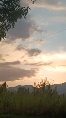 The video shows a natural landscape at dusk. The sky is filled with clouds tinged with the orange and yellow hues of sunset. A few dark green trees and bushes are visible in the foreground, silhouetted against the sky and distant mountains. Power lines stretch horizontally across the frame.