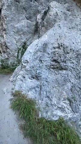 The video shows a close-up, upward-facing view of a rocky cliff face. The rocks are predominantly gray with some lighter and darker patches, suggesting weathering and texture. There is some green vegetation, including grass and vines, growing at the base and along the sides of the cliff. The camera is moving slowly upwards, revealing more of the sheer rock face and a dark opening or overhang at the top. The lighting suggests it is daytime, possibly overcast or within a shaded area, as there are no harsh shadows. The overall environment appears to be natural and rugged, likely a gorge or a mountainous area. There are no people or discernible objects other than the natural rock and vegetation.