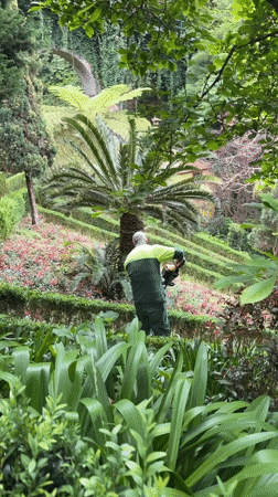 Garden maintenance and visitors captured at Funchal botanical gardens
