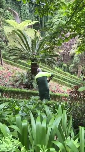 Garden maintenance and visitors captured at Funchal botanical gardens