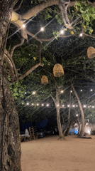 Beachside restaurant setup observed in Peleana, Sri Lanka