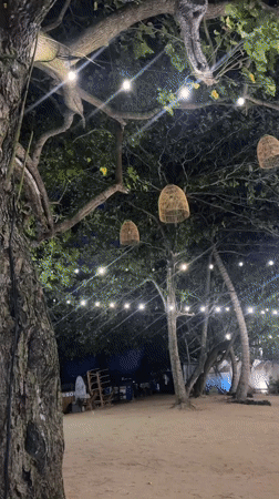 Beachside restaurant setup observed in Peleana, Sri Lanka