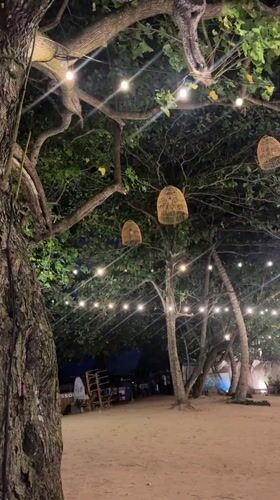 Beachside restaurant setup observed in Peleana, Sri Lanka