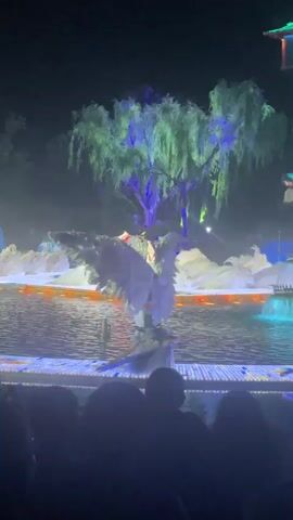 From a low angle and behind a crowd of people, the video captures a nighttime performance art scene. In the background, a small lake reflects lights. Upon it, a raised platform hosts several performers clad in white costumes that resemble birds, some with large white wings. Further back, a tree with green foliage stands illuminated with a blue hue, next to a small, floating, traditional-style pagoda with a green roof. To the left, another structure, lit in red, rises on a chequered base. Performers interact on the platform. The crowd can be seen holding up phones to record the performance.