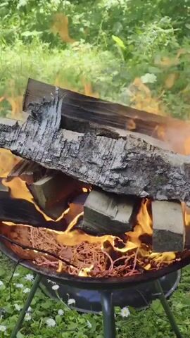 The video shows a close-up, low-angle shot of a campfire in a black metal grill. The grill is situated on a grassy area with small white flowers. Several pieces of wood are stacked in the grill, with the largest piece of bark-covered wood resting on top. The wood is actively burning, with bright orange flames and wisps of white smoke rising from the fire. The background is blurred, showing green foliage and trees, suggesting an outdoor setting. The camera is static.