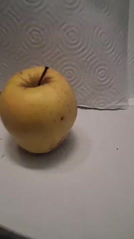 The video shows a close-up of a single yellow apple on a white surface, with a roll of paper towels in the background. The lighting is dim, and the camera is shaky, causing the image to blur at times. The apple is the main subject, and it appears to be a whole, unblemished fruit. The paper towels are visible in the background, and they have a patterned texture. The white surface on which the apple rests is also visible, and it appears to be a countertop or table. There are no other objects or people in the frame. The video is very short, lasting only a few seconds.