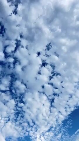 This is a vertical video of a sky filled with scattered clouds. The clouds are predominantly white, with some areas appearing gray and darker, suggesting varying densities and thickness. Patches of deep blue sky are visible in between the clouds, indicating a bright day. The clouds are textured and appear to be moving, creating a dynamic pattern across the frame. The lighting suggests it is daytime, likely mid-morning or afternoon, given the brightness of the sky. There is no visible text in the video. The scene is an outdoor setting, focusing on the natural phenomenon of clouds in the sky. The overall mood evoked is one of openness and tranquility, common when observing the sky. The location context of Borowa, Poland, suggests this view is of the Polish sky.
