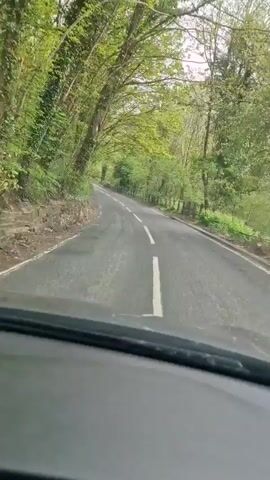 A first-person perspective video captures a car driving along a winding, paved road. The road has a white dashed line indicating the center. Both sides of the road are lined with dense, vibrant green trees and foliage, forming a natural canopy overhead, suggesting either spring or early summer. A low stone wall is visible on the left side of the road, while a wooden fence runs along the right side for a section, with a pile of wood debris further down. The lighting indicates daytime, likely under an overcast or partly cloudy sky. Part of the car's dashboard is visible at the bottom of the frame, showing a partial digital display with the numbers "44" and "37" (and possibly "2"), which could relate to speed, temperature, or mileage. The setting appears to be a rural or semi-rural area in Framwellgate Moor, United Kingdom.