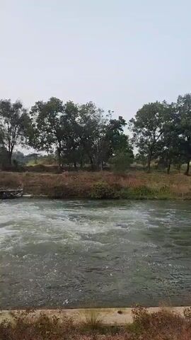 The video shows a view of a river with a concrete structure on the left. Water is flowing rapidly over the structure creating whitewater rapids. There are trees and vegetation on the banks of the river. Power lines are visible overhead. The sky is overcast.