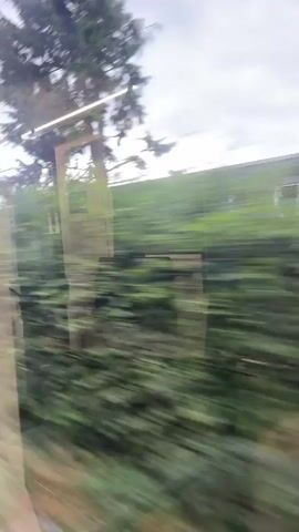 A video captured from inside a moving vehicle, looking out of a window. The landscape outside is a blur of green foliage and trees, indicating rapid movement. A hand appears briefly in the foreground, with fingers extended in a peace sign against the glass. The window has some smudges or water spots. In the distance, a building with a dark roof and brick exterior is visible. The sky is overcast.