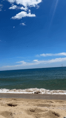 Sunny Barcelona scenes documented across beaches and landmarks