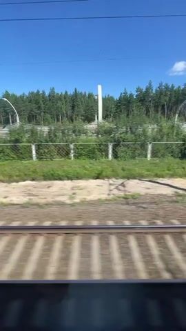 A train is moving past a sound barrier, a fence and trees. The sky is clear and blue. The train tracks are in the foreground.