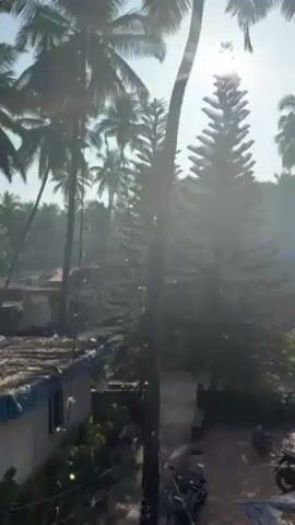 The camera is positioned at an elevated angle overlooking a sunlit, tropical landscape.  Several tall palm trees frame the view, their silhouettes defined against the bright sky. Two conifer trees stand in the foreground. Below, rooftops of small buildings are visible, and a motorbike is parked on a brick-paved area. A solitary individual is seated in the distance.  The overall impression is one of tranquility.