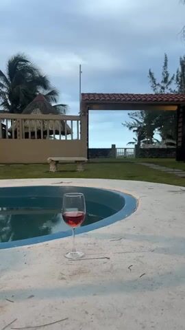 A glass of red wine stands on the edge of a small, blue-tiled pool with a white concrete surround. In the background, there's a grassy yard, a small gazebo, and a structure with a red tile roof mirroring a view of the ocean. The sky is overcast. A small brown dog with a red collar walks past the wine glass, briefly obscuring the view.