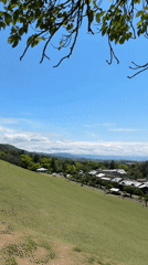 Visitor documents peaceful spring day at Nara's Todai-ji Temple