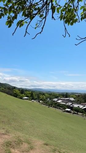 Visitor documents peaceful spring day at Nara's Todai-ji Temple