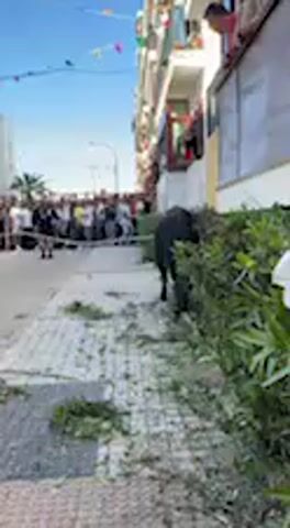 The video opens with a bright, sunny outdoor scene depicting a street or alleyway lined with buildings. Colorful banners are strung across the street overhead. On the left side of the street, a line of people is visible, possibly forming a barrier or watching an event. On the right, a building with multiple balconies has people observing from above. Green foliage is scattered on the paved ground and forms a low hedge along the right side.

A male voice speaking Spanish can be heard throughout the video, mentioning "realizando las labores y para el toro" (performing the tasks and for the bull) and "sacarle el recorrido" (to get him on the route/path), suggesting a traditional event involving a bull in the streets, likely in Vejer de la Frontera, Spain.

At the 0:03 mark, the camera quickly zooms in to a close-up of a person's open palm. The hand shows some calluses or rough patches, and a gold ring is visible on one of the fingers. The background, which was the street scene, is completely out of focus in this close-up shot. The bright blue sky is visible in the initial wide shot. No visible text is present in the video.
