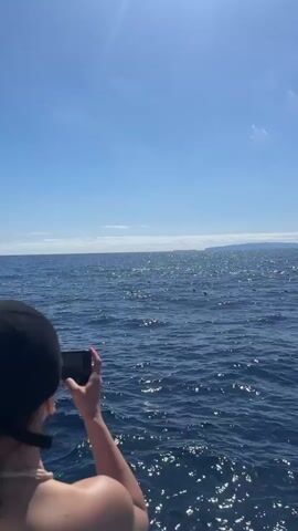The video shows a person taking photos of the ocean, with a distant land mass on the horizon. The person is wearing a black cap, and is photographed from behind. They hold a smartphone up and point it out towards the water. The water is blue and sparkling, with many birds floating on the surface. It is a bright, sunny day.