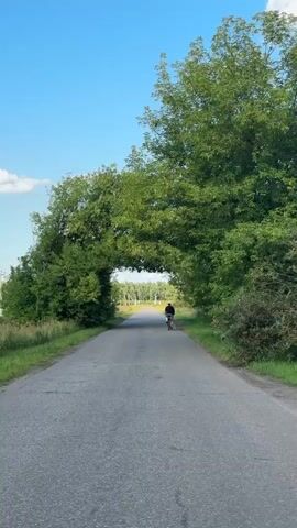 A lone cyclist pedals down a paved road that goes under a canopy of lush green trees. The road is empty except for the cyclist, and the sky is a clear blue with a few scattered clouds. The trees on either side of the road are full of leaves, creating a natural tunnel effect. The cyclist is wearing dark clothing and is riding away from the camera. The scene appears to be a peaceful, rural setting on a sunny day.