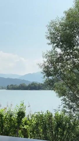 The video shows a picturesque landscape with a serene lake in the foreground and rolling mountains in the background. The sky is a clear blue with scattered white clouds. Lush green vegetation, including reeds and bushes, borders the lake, partially obscuring the view. The camera appears to be panning slowly from left to right, revealing different sections of the tranquil scenery. The overall impression is one of natural beauty and peacefulness, likely captured on a bright, sunny day.
