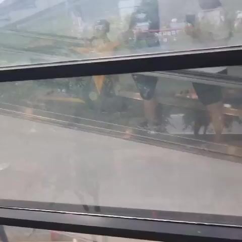 The video shows an upward-moving escalator in what appears to be a commercial building, possibly a shopping mall. The perspective is from someone riding the escalator, with their yellow shopping cart in the foreground. Other shoppers are visible ahead on the escalator, one of whom is wearing black pants and a black top, and another wearing a dark blue t-shirt and grey pants. There are windows on the right side of the escalator offering a view of the outside, which appears to be a somewhat overcast day with trees and buildings visible in the distance. A sign with Korean text and a warning symbol (a person falling with a diagonal line through it) is attached to the escalator's railing. The escalator steps and handrail are visible, as is the metallic structure of the escalator.