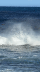 Cape Point coastline: waves, seals, and the famous signpost