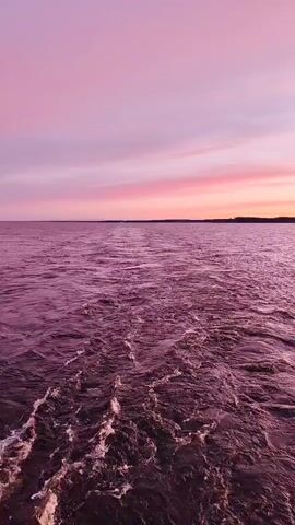 The video shows a body of water with waves and a sky with a purple hue. The sky is a gradient of light pink, fading into a lighter pink closer to the horizon, with a hint of orange. The water reflects the colors of the sky, giving it a purplish-pink appearance.  In the background, a dark, silhouetted line of trees or land is visible on the horizon. The camera appears to be on a moving boat, as the wake from the boat is visible in the foreground, creating white foamy patterns in the water.