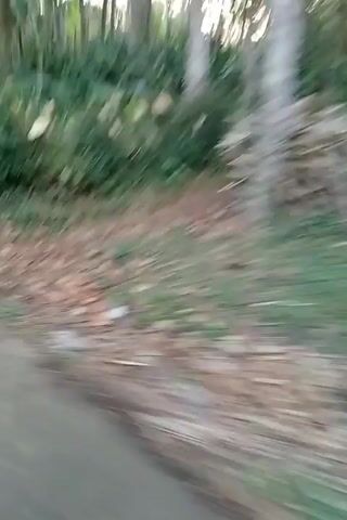 The video shows a blurry, fast-moving view of a roadside environment. On the left is a paved surface, likely a road, with some fallen leaves and debris on the edge. To the right is a dense area of green foliage, consisting of bushes and trees. The trees have visible trunks and branches, and the vegetation is thick and overgrown. The overall impression is of a natural, possibly rural, setting, viewed from a moving vehicle. The lighting suggests it is daytime, possibly late afternoon or early morning, with some dappled sunlight filtering through the leaves.