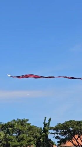 Traditional Balinese kites fly over Denpasar morning skies