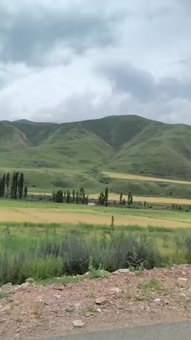 The video shows a landscape scene with rolling green hills in the background under a cloudy sky. In the mid-ground, there are fields of yellow and green crops, interspersed with trees. In the foreground, there is a dirt road with some gravel and sparse vegetation. The camera appears to be moving, suggesting the footage was captured from a vehicle.