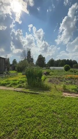 The video shows a sunlit rural landscape with a bright blue sky filled with fluffy white clouds. In the foreground, a lush green lawn stretches out. To the left, a wooden fence is visible, and beyond it, a building with a grey roof. A tall clump of reeds stands prominently in the middle ground. Further back, a garden area is laid out with neat rows of plants, featuring colorful flowers, some of which appear orange. A white greenhouse structure is situated in the background. Lush green trees form a natural border to the garden and the entire scene. A large weeping willow tree with long, trailing branches partially obstructs the view on the right side of the frame. The sun is shining brightly, casting rays through the clouds, creating a vibrant and serene atmosphere.