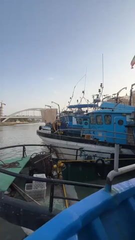 A vertical, eye-level, medium shot shows a fleet of blue fishing boats docked in a harbor. In the foreground, the edge of a blue boat is visible, with part of a chain and a metal object resting on it. Behind this boat, a second, larger boat is moored, its hull a combination of white and dark green. A yellow rope is attached to this boat, and part of a white plastic crate is visible. The main focus of the video is a row of blue fishing boats docked side-by-side. These boats have several levels and antennas on top, and one has an Iranian flag flying from its mast. In the background, a distant bridge spans a body of water, and the sky is a pale blue with a few wispy clouds. The lighting suggests it is either early morning or late afternoon.