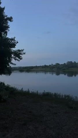 This media file depicts a tranquil natural scene by a river at dusk. The subjects are the river itself, the opposite bank lined with lush trees and vegetation, and the vast, pale blue sky above. There are no people or distinct objects visible, beyond what appears to be a distant power line and a church steeple on the far shore, subtly reflecting in the calm water.

The activity, or lack thereof, suggests a moment of quiet observation and contemplation. The stillness of the water, reflecting the twilight sky and the silhouettes of trees, creates a peaceful and serene atmosphere. The time of day is clearly evening or dusk, as indicated by the muted colors of the sky and the dim, natural light. The weather appears calm, with no strong winds evident in the water's surface or the trees.

The location cues, combined with the provided context of Coșnița, Moldova, point to a rural or semi-rural riverside setting. The overall emotion evoked is one of peace, serenity, and a sense of natural beauty. There is no visible text in the media file.