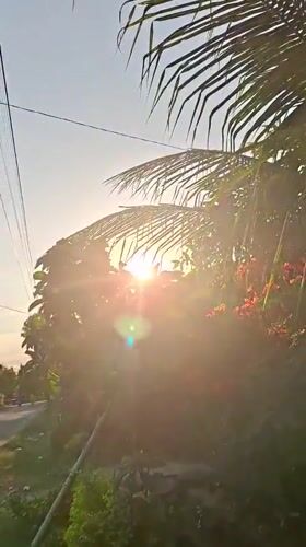 Sunny tropical morning documented in Kutaglumpang, Indonesia