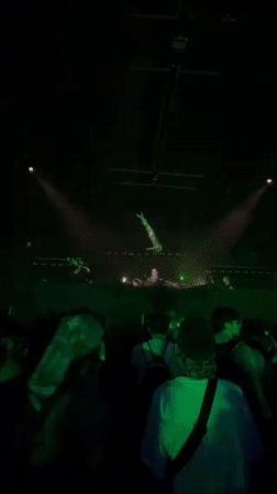 Nighttime crowd dances at Coachella music festival in California