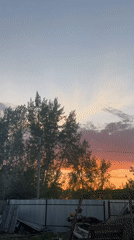 Quiet evening moments captured in Chaikovsky backyard
