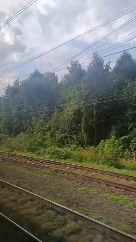 The video shows a view from a moving train. Train tracks run parallel to the right of the frame. Beyond the tracks, there is a grassy embankment and then a dense forest of green trees. Overhead, there are power lines and a cloudy sky. There are no people or animals visible in the frame. The train appears to be traveling through a rural or natural area.