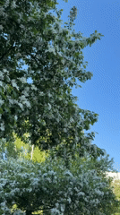 Spring morning scenes captured across Chaikovsky, Russia