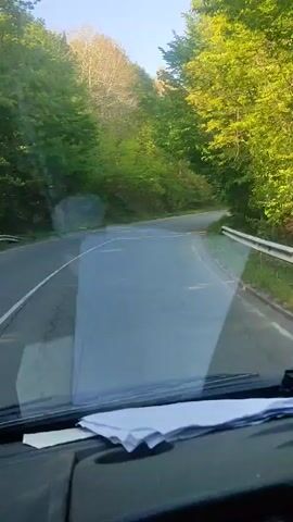 The view from inside a vehicle driving on a winding asphalt road surrounded by dense trees is captured in a video. The trees on both sides of the road appear lush and green, suggesting it might be spring or summer. The road has a double yellow line down the center, as well as a white line on the shoulder, and the driver is following the road as it bends through the wooded area. The sky is visible through the trees, and it appears to be a clear, sunny day. The dashboard of the vehicle is visible at the bottom of the frame, with some papers on top.