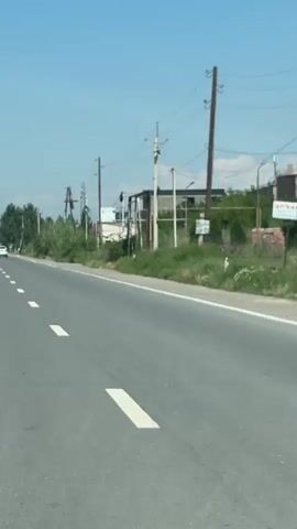 A slightly shaky, low-angle, wide shot shows a paved road with white dashed lines in the foreground. The road curves to the left and appears to stretch into the distance. On the right side of the road, there is a grassy shoulder with various types of vegetation, including tall bushes and trees. Several utility poles with wires strung between them are visible along the roadside, and some buildings and structures can be seen behind the vegetation. A white car is visible in the distance on the left side of the road. The sky is clear and blue. The camera appears to be moving, possibly from a vehicle.